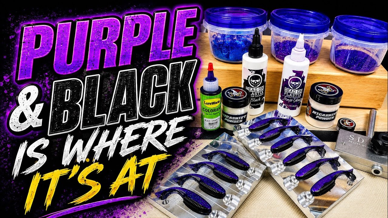 Purple and Black is where it’s at