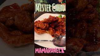 Gourmet Adventure: Unforgettable Dinner at Mister Chen, Mamaroneck