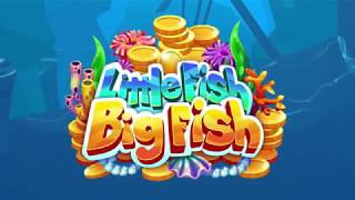 Little Fish Big Fish™ Video Slots by IGT - Product Video