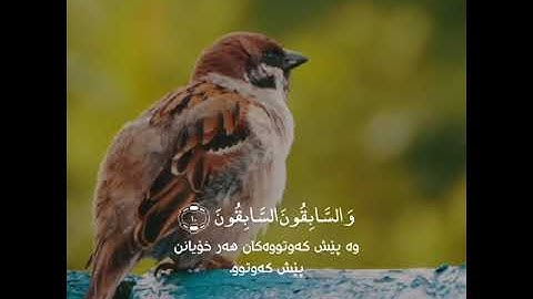 #سورة الواقعه#القرآن_الكريم