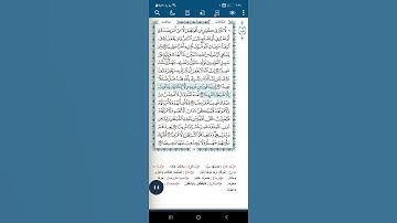 سورة النساء اية(١١٧)
