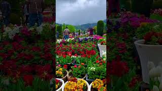 phoolon ki Mausam