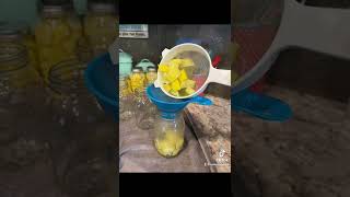 Canning Squash