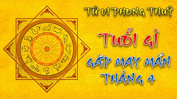 4 con giáp may mắn trong tháng 2 nhuận âm lịch, công việc ổn định  | Tử Vi Phong Thủy