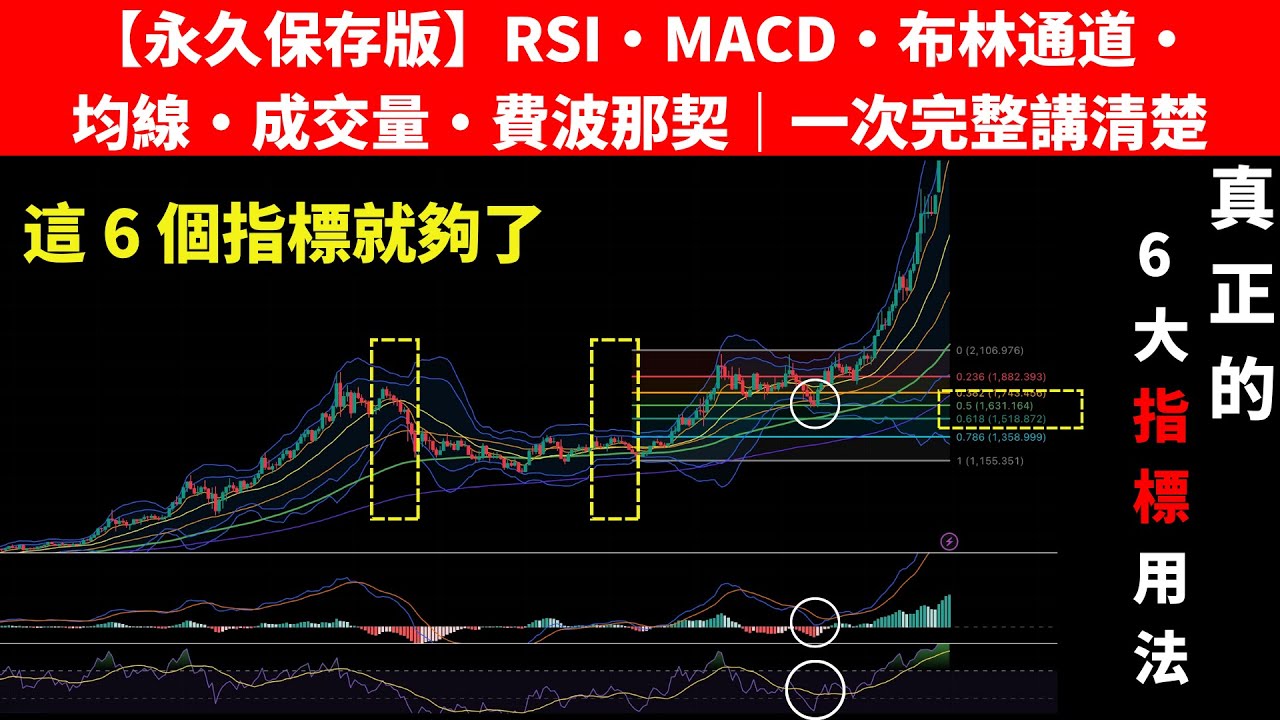 【永久保存版】RSI・MACD・布林通道・均線・成交量・斐波那契回調 最強 6 大指標“完美共振”！一套系統精準捕捉牛股/主升浪，勝率驚人！（附 Meta 實盤復盤）