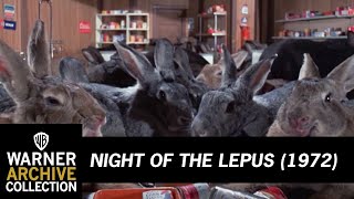 The Greatest Killer Bunny Movie Of All Time (G.K.B.M.O.A.T) | Night of The Lepus | Warner Archive