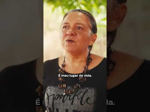[Agronegócio] BR-163: Progresso para quem?