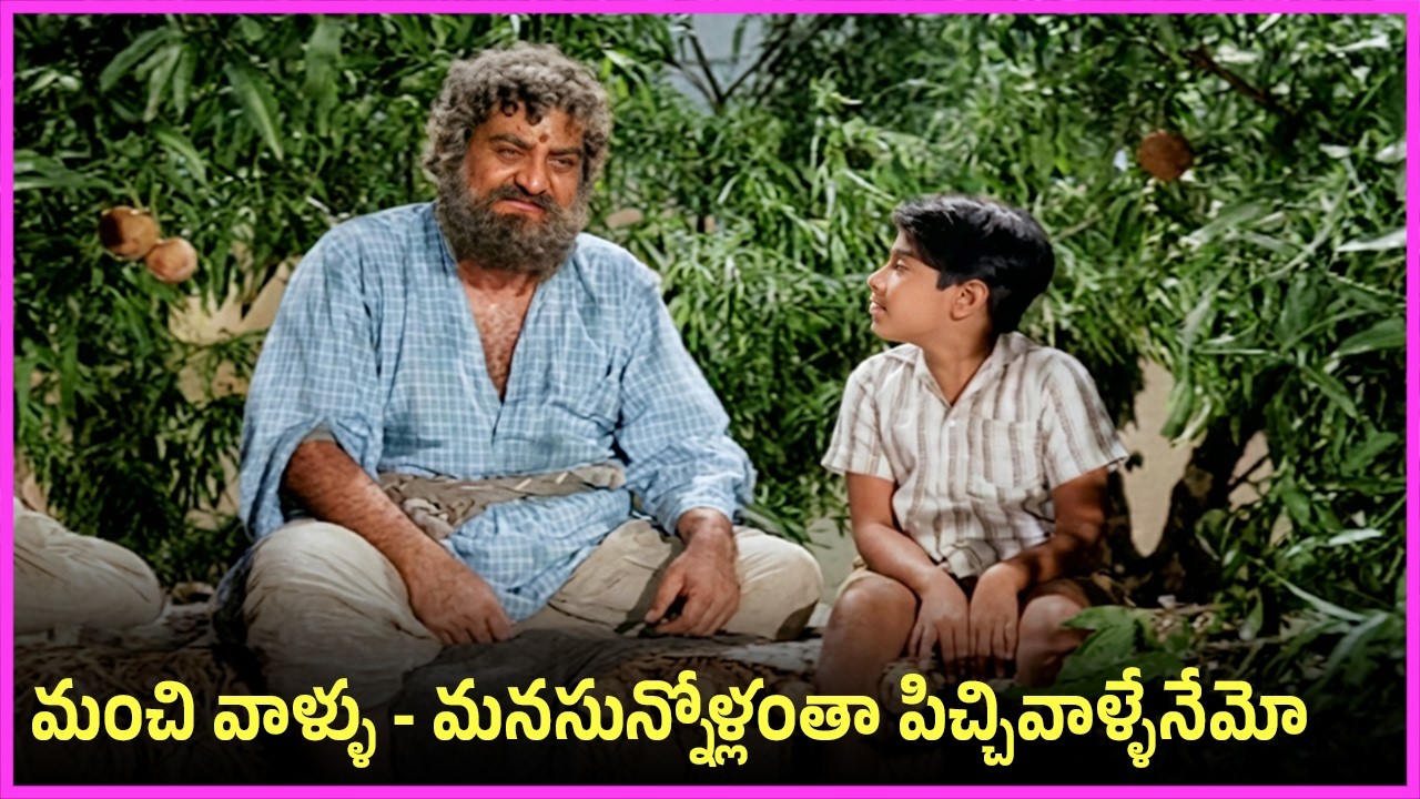 మంచి వాళ్ళు - మనసున్నోళ్లంతా పిచ్చివాళ్ళేనేమో - SV Gangarao, NTR, Jamuna Best Family Drama Scenes