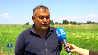 Cotkarên Herêmê Dest Bi Mewsima Çinînê Kir