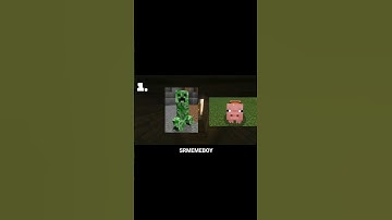 3 Minecraft Facts Jo Kisi Ko Nahi Pata! 😱 #Shorts