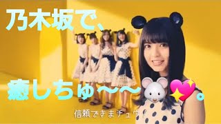 乃木坂で､癒しちゅ～～