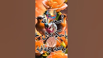 دعاء الصباح 🤲 أذكار الصباح 🤲 صباح الخير 🤲 صباحيات 🤲 حالات واتس 🤲 #صباح_الخير #دعاء_الصباح #اكسبلور