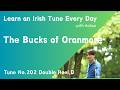 202 The Bucks of Oranmore (Double Reel, D)