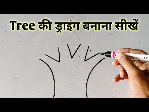 वीडियो: कैसे बैठें: 12 कदम (चित्रों के साथ)