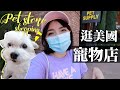 【狗狗第一次在美國看獸醫！】洗牙檢查的費用好驚人😱 逛寵物店幫牠找新飼料！