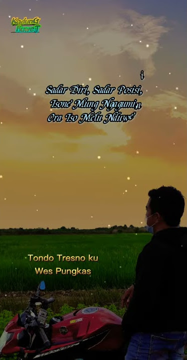Dj Terbaru Story Wa 30 detik - Wes Tatas Dj happy asmara remix