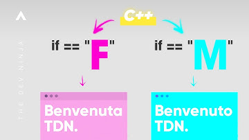 C++ Tutorial ITA: Benvenuto o Benvenuta? | Aggiunta di Funzioni IF/ELSE | 1 MINUTO | TheDevNinja