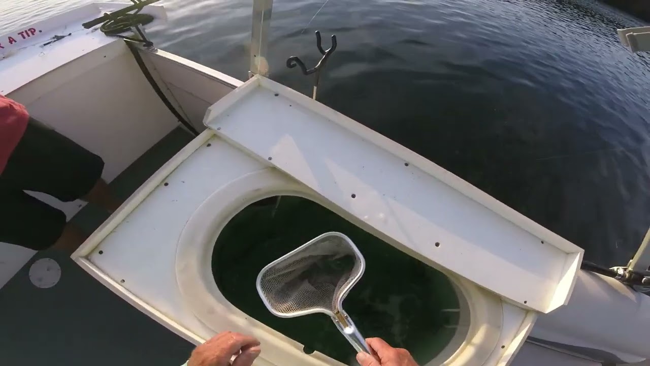 June 21/2022 Striper fishing lake Oconee