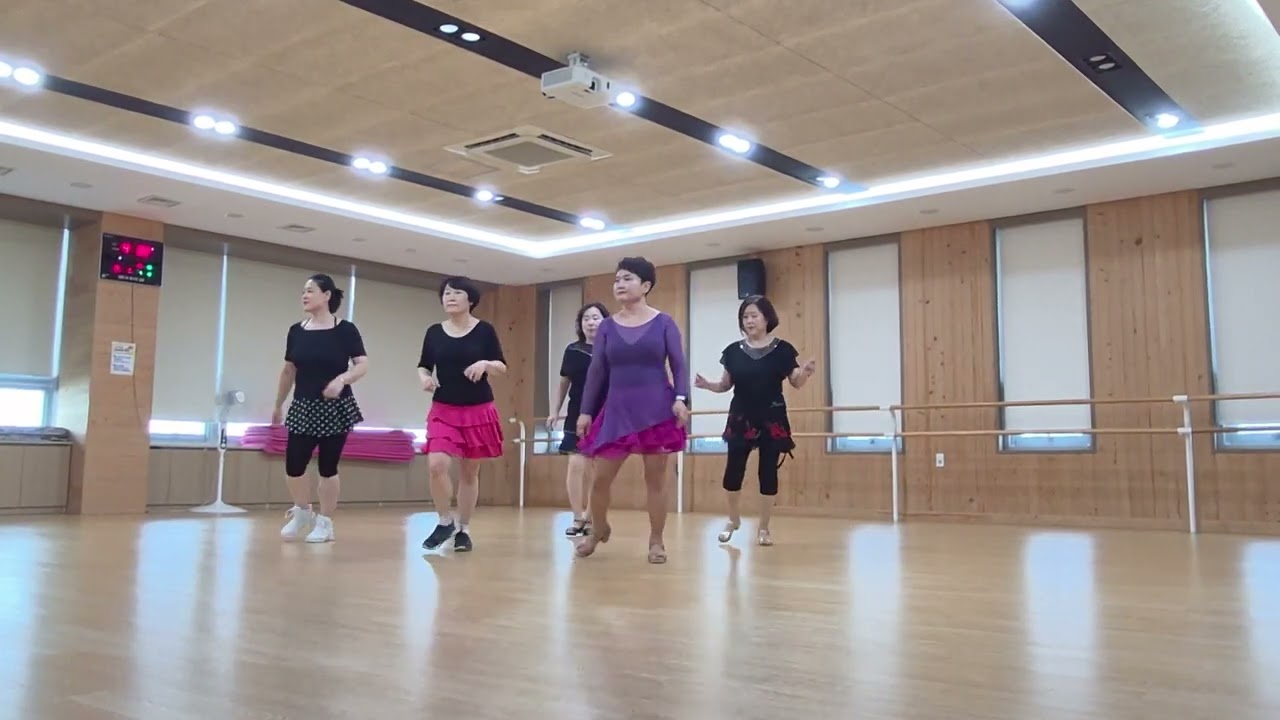 DOKdo Korer(독도는 한국땅) Line Dance /Beginner / 헌트릭스/데몬헌터스/윤은희/ 대원수니라인댄스