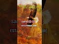 Dios te sostendrá. Salmos 55:22 #Salmos5522 #ConfiaEnDios #FeCristiana #PalabraDeDios #Biblia