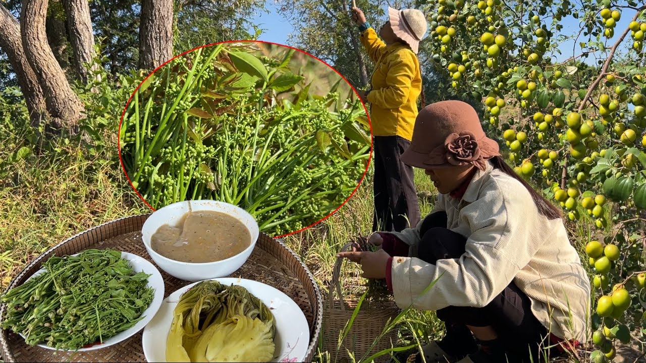ដល់កឆ្ងាញ់ម្លេះ បុកទឹកគ្រឿងផ្កាស្តៅ ទើបបេះមកស្រស់ៗ ជាតិ១០០ជាតិ