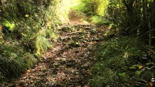 La Rebollada-Pigüeña(Camino Antiguo)