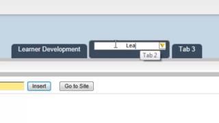Online Portfolio with LiveBinders - Getting Started