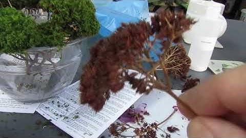 How to make many realistic model trees on a budget