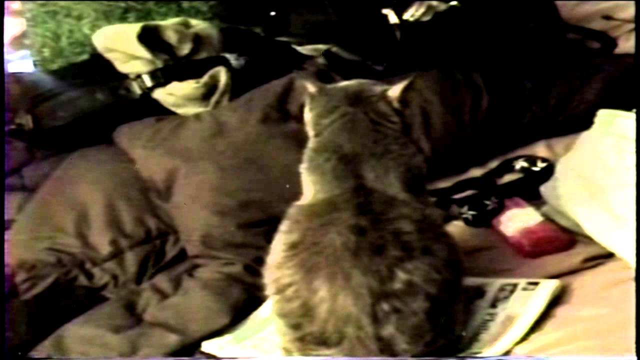 185668232 housesession---------------