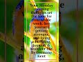 Quotes Quote Of The Day 108 #shorts #viral #youtubeshorts #shortsvideo #motivation #quotes #tefverse