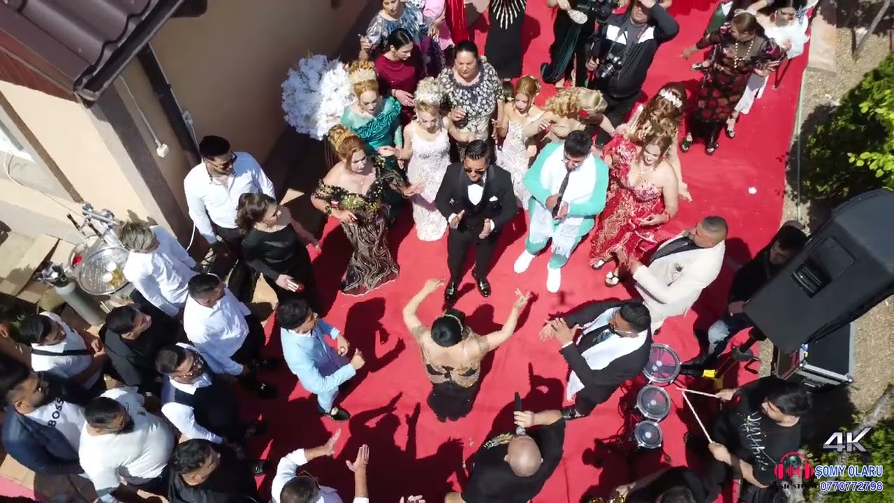 3HD Mirii Prințu & Luminița Nunta la Gina  Bailesti  28- 04 -2025