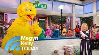 Meet Big Bird, Elmo And Other ‘Sesame Street’ Stars In Honor Of Its 48th Seasons | Megyn Kelly TODAY