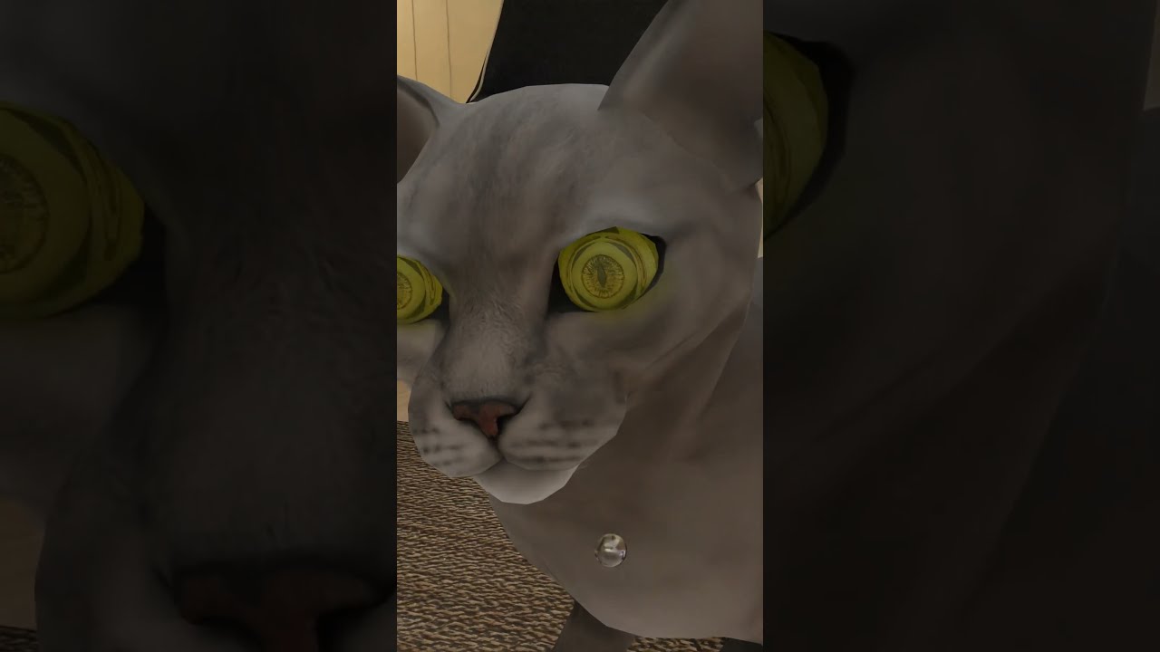 WHY DO CATS LIKE TO FOLLOW LASERS 