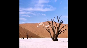 سورة : الفلق القارئ : عبدالله الموسى