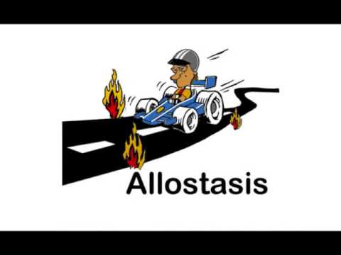allostasis