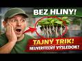 UŽ ŽIADNA ŠPINA! 🚫 Prezradím vám svoj tajný trik, ako vypestovať sadenice úplne bez hliny. Výsledo