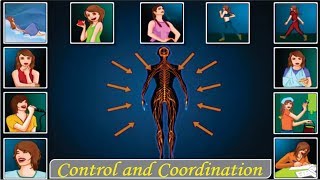 CBSE Class 10 Science - 7 || Control and Coordination ||  Full Chapter || by Shiksha House screenshot 5