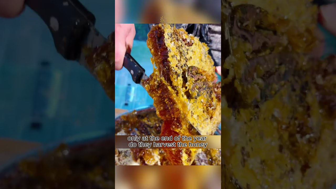 Why is this honey so expensive? 