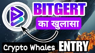 Bitgert brise की सारी सच्चाई | Bitgert coin top 10 holders | how bitgert History Maker coin