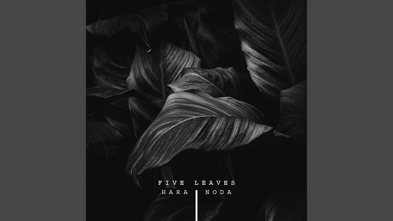 Guarda Five Leaves su YouTube Guarda Five Leaves su YouTube