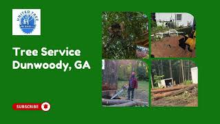 Tree Service Dunwoody, GA