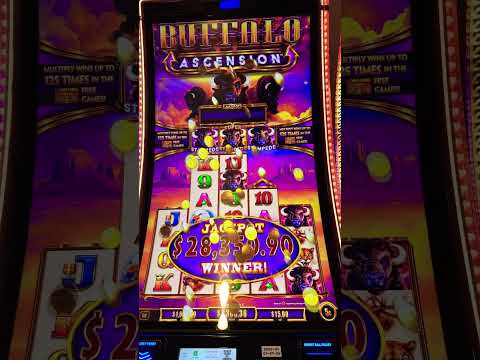 Découvrez Forest Arrow sur les Casinos en Ligne Français - Jouez Dès Maintenant!