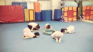 My Movie（JUN 13, 2013 18:05 - 18:06）