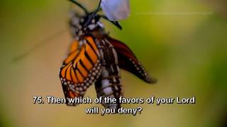 Listen Daily to Solve all your Life Problems Cure Diseases Surah Rahman   54