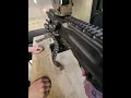 Belt fed lunch break  #sigacademy  #xm250  #armorer #airsoft #machinegun #raybanmeta  #pov
