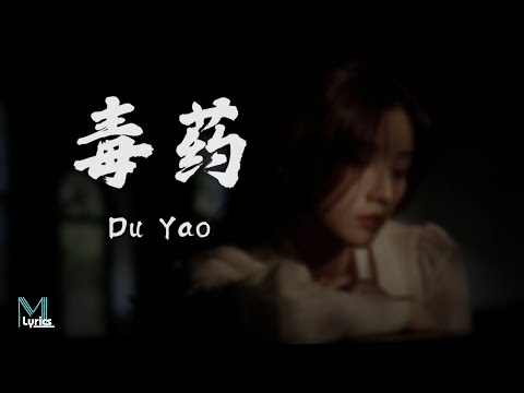 Zealot (周星星) -  Du Yao (毒药) Lyrics 歌词 Pinyin/English Translation (動態歌詞)