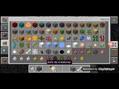 Vidéo: Comment Activer Un Mod Dans Minecraft