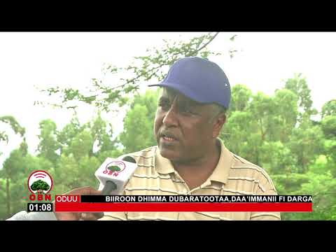 Kunuunsa Naannoo 26 11 2012