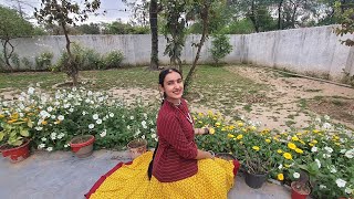 Ghoomar dance cover #dancecover #rajasthani