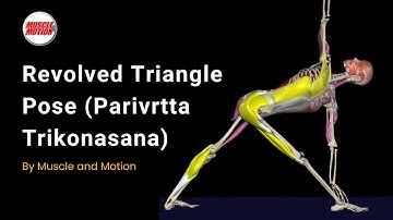 Revolved Triangle: Improve Rotation & Avoid Mistakes
